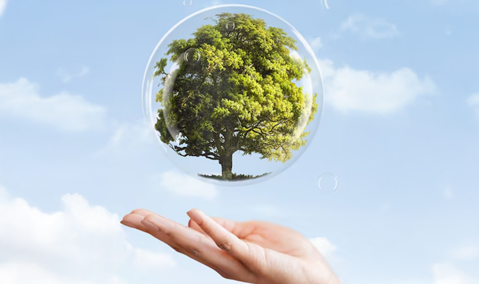 Sustainability