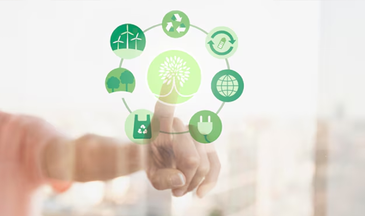Sustainability Practices